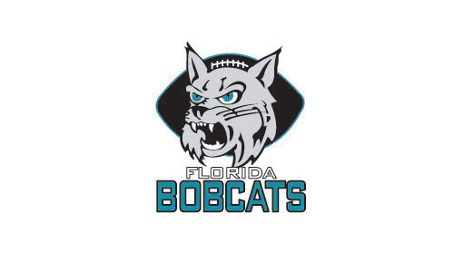 Ժɫʵףϻ^ĈD鄓(chung)BOBCATS(bio)־O(sh)Ӌ(j)