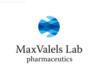 MaxValelslabӢƷƹ˾LOGOOӋ