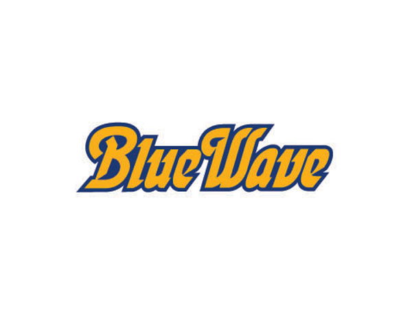 Bluewave{ɫ۞ưLOGOO(sh)Ӌ/