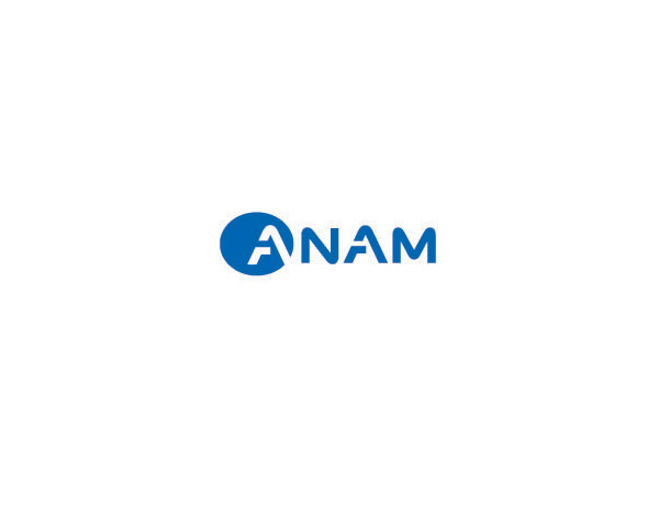 ANAM{(ln)ɫƼ˾LOGOO(sh)Ӌ(j)